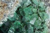 Fluorescent, Green Fluorite Crystal Cluster - Rogerley Mine #99455-1